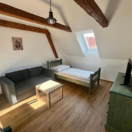 Apartmany Statek Bezdedice Hostomice Buitenkant foto