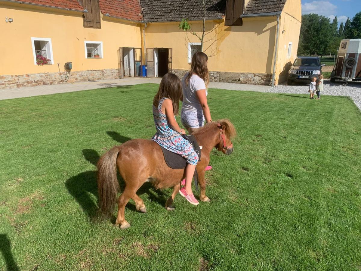 Apartmany Statek Bezdedice Hostomice Buitenkant foto