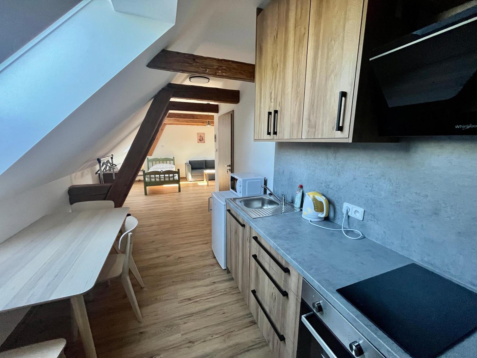 Apartmany Statek Bezdedice Hostomice Buitenkant foto